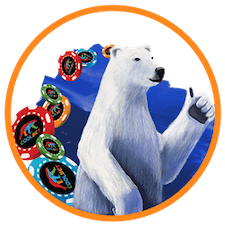 Isbjörn gör tummen upp för Coolbet casino bonus