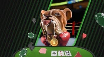 Dreglande hund vid ett pokerbord