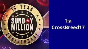 Bild på loggan för Sunday Million 18 th Anniversary. Intill i en blå ruta står det "1:a CrossBreed17"